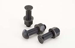 High-Strength Bolt for Bearing-Type Connection (Shinko Knurling Bolt)